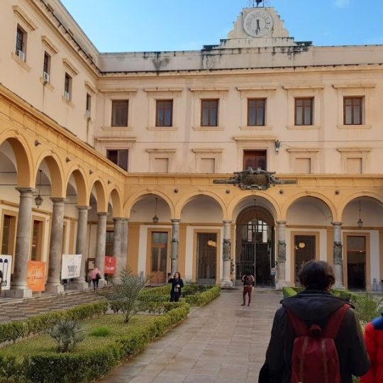 Universita-degli-Studi-di-Palermo-640x608 Universita degli Studi di Palermo